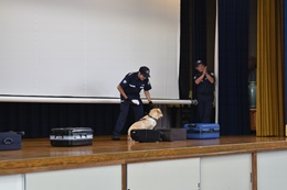 28NX13i΁jÉŊցAÉsuwZ̖򕨗ph~ɂču