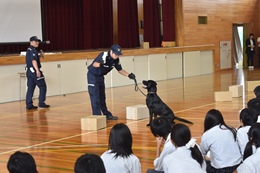 28NX29i؁jÉŊցA򕌌sjwZ̖򕨗ph~ɂču