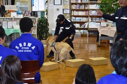 28N1125ijÉŊցAZsawZ̖򕨗ph~ɂču