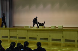 28N1130ijÉŊցA}Aw@wZ̖򕨗ph~ɂču