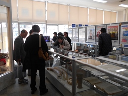 28N1215(؁jÉŊցA`rbЉwD̖K