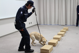 28N1216ij`Ŋ֎xACییǐw