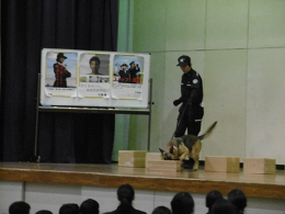 29NP18ijŊ֎xAÉ썂wZE̖wuɂču