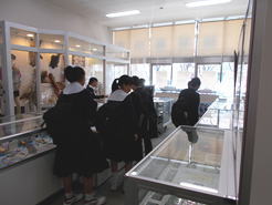 29NQWi؁jÉŊցAÉsVwZk̖K