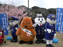 平成29年2月22日（水）下田監視署、河津桜まつり会場においてキャンペーンを実施