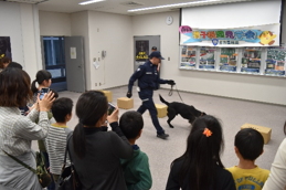 29NR29ijÉŊցAtxݐeqŊ֌w𒆕ۋ`ŊJ