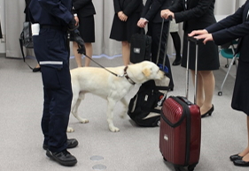 29N410ijÉŊ֒`Ŋ֎xA2017NxZgAO[vVЈ̌w󂯓