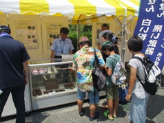 Ƃ݂͂ȂƃtFXeBoŊ֓W