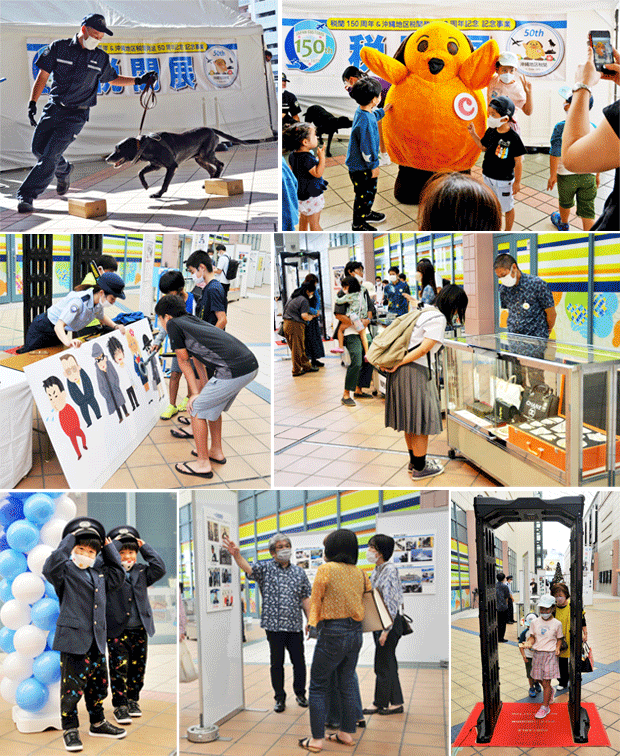 TG[ߔeCvCXł̐Ŋ֓W̗lq