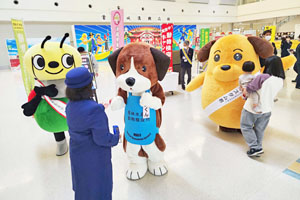 Aĥҁ[ÃNAŊւ̃JX^NRLN^[B