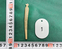 大麻たばこ 大麻たばこ