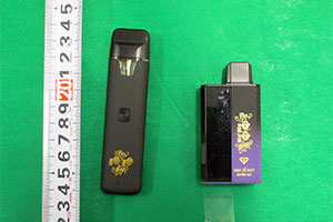 ������ܗL����d�q�^�o�R�Q�{