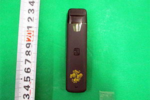 ������ܗL����d�q�^�o�R�@