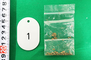 �����|���܂ɓ������喃