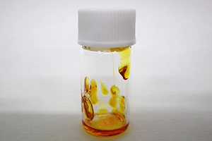 �d�q�^�o�R�̒��g�i������ܗL����t�󕨁j