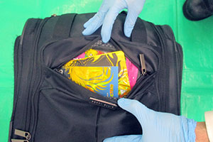 ������܂ރO�~�̉B����