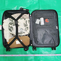 �X�[�c�P�[�X���J�����l�q