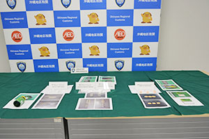 報道発表の様子 報道発表の様子