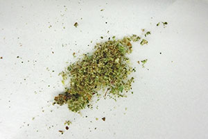 麻薬である大麻 麻薬である大麻