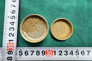グラインダーのメッシュ部及び受け皿に収納されている麻薬(デルタ9テトラヒドロカンナビノール) グラインダーのメッシュ部及び受け皿に収納されている麻薬(デルタ9テトラヒドロカンナビノール)