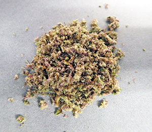 麻薬である大麻 麻薬である大麻