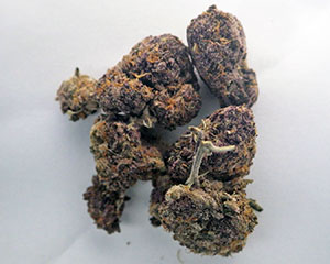 麻薬である大麻 麻薬である大麻