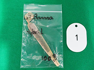 透明チャック付きポリ袋に収納された大麻たばこ 透明チャック付きポリ袋に収納された大麻たばこ
