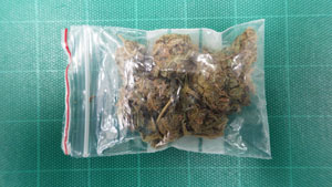 袋に入った大麻
