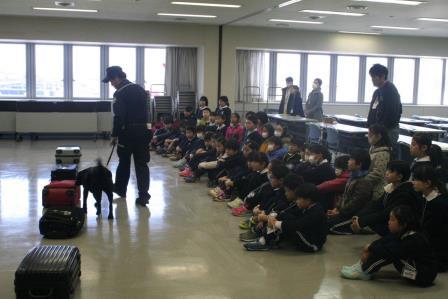 麻薬探知犬のデモンストレーション