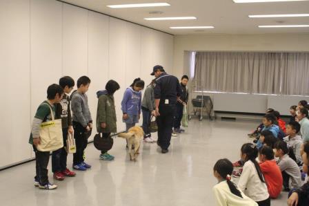 麻薬探知犬のデモンストレーション