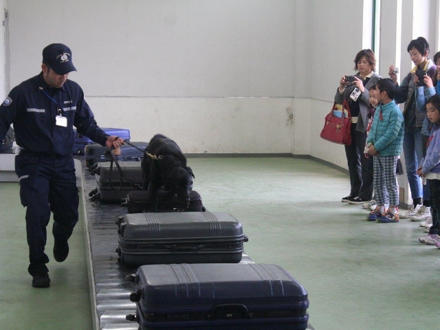 麻薬探知犬のデモンストレーション