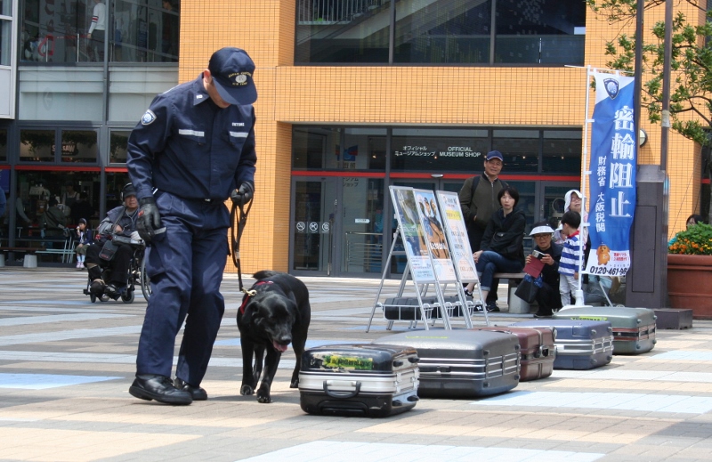 麻薬探知犬のデモンストレーション