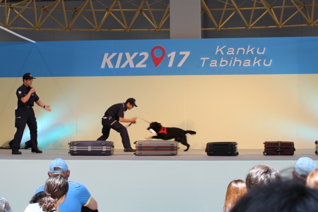 麻薬探知犬のデモンストレーション