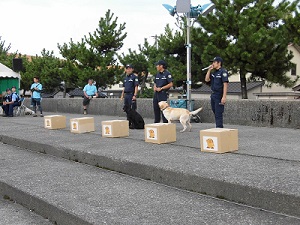 麻薬探知犬のデモンストレーション