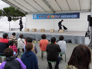 麻薬探知犬のデモンストレーション