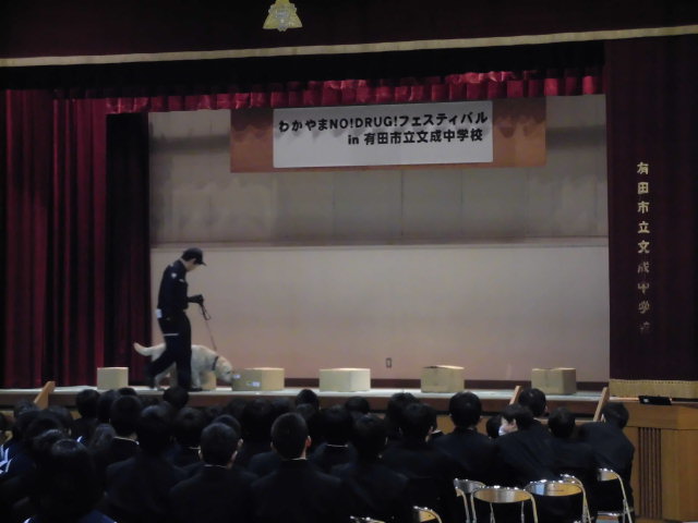 麻薬探知犬のデモンストレーションの様子