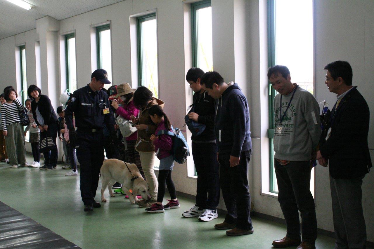 大阪税関見学会麻薬探知犬を知ろうの様子.jpg
