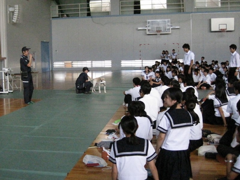 大阪税関 茨木高等学校において薬物乱用防止講演会を実施 講演会の様子