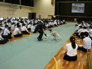 大阪税関 吹田東高等学校において薬物乱用防止講演会を実施 麻薬探知犬によるデモンストレーションの様子