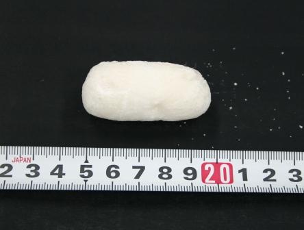 飲み込み隠匿されていた覚せい剤