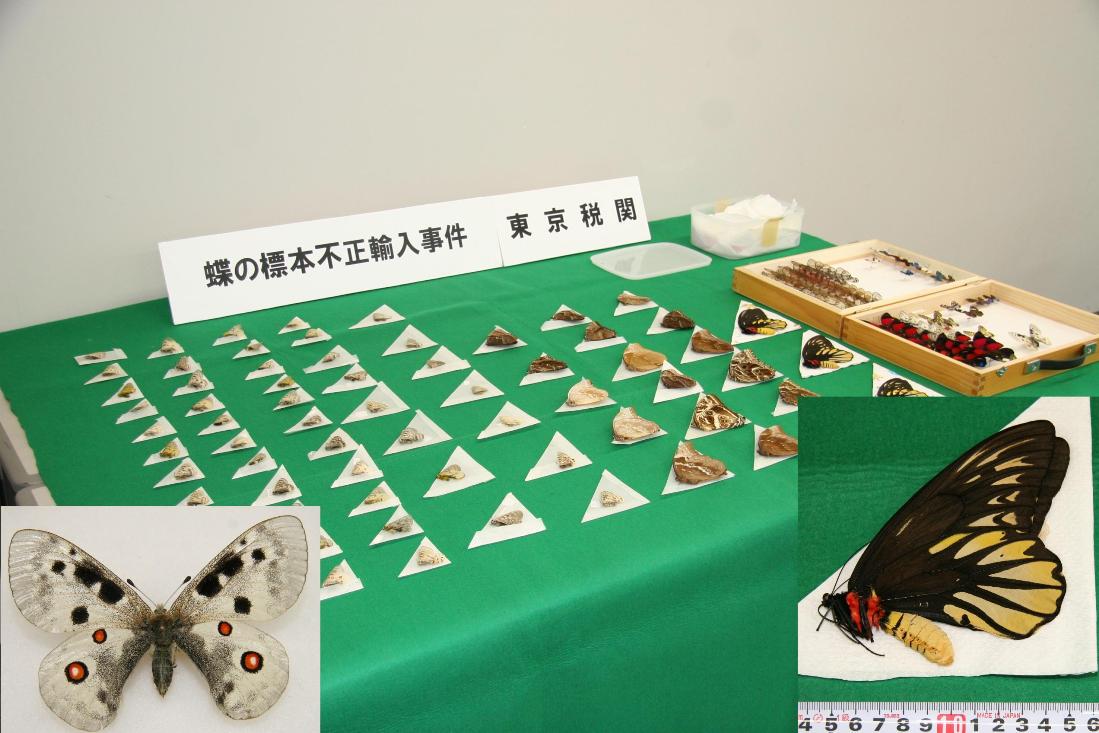 ���̕W�{�s���A������