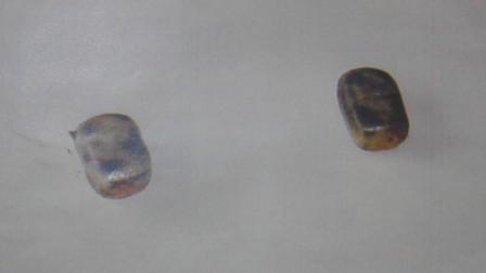 ���ݍ��݉B������Ă����喃����2��