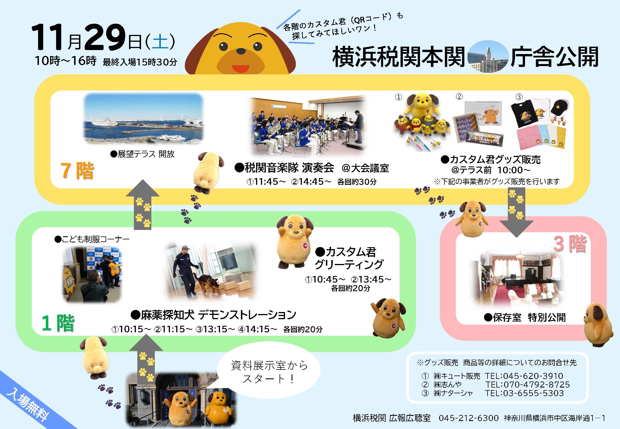 ���Ɍ��J�`���V�ڍה�