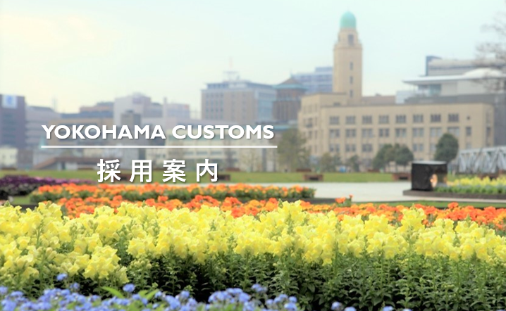 ̗pēTOP摜i202511TCYj