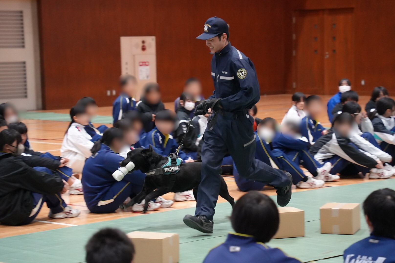 �f�����X�g���[�V���������܂������Ă���l�q