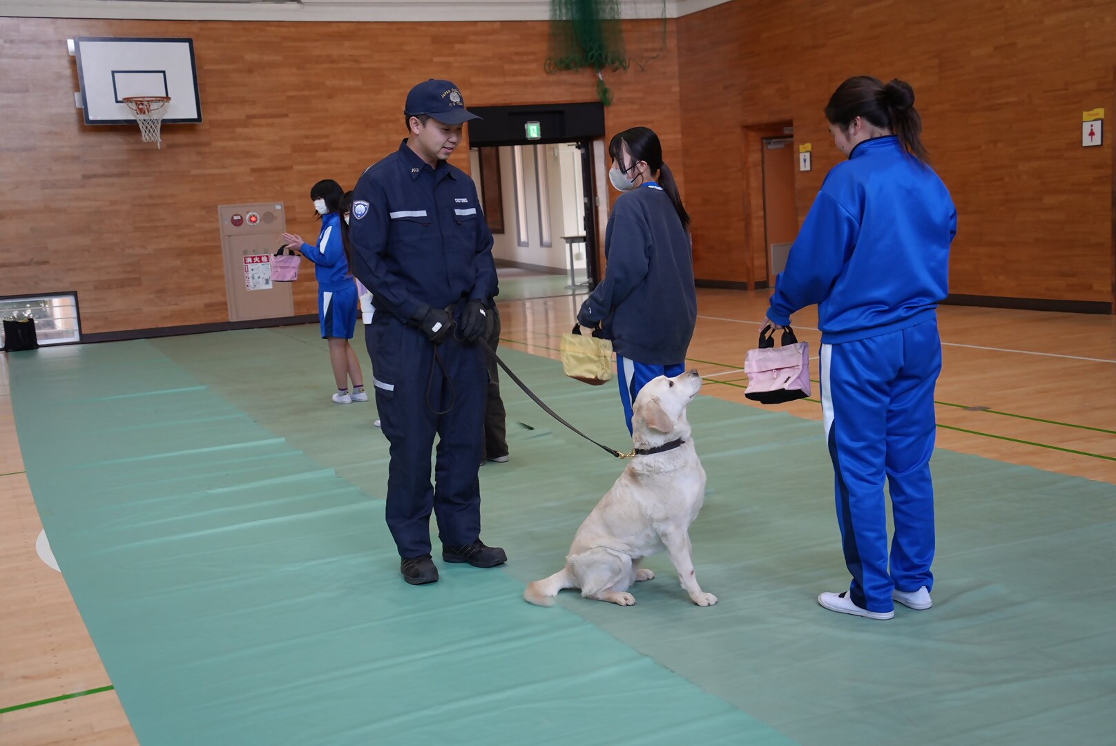 �򕨗��p�h�~�����̗l�q�R