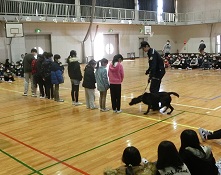 大野小学校にて麻薬探知犬デモをおこなっているところ−その１(2019年1月)