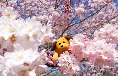 ���ƃJ�X�^���N