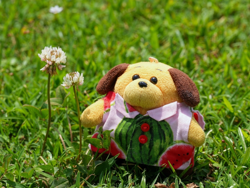 �V���c���N�T�@�J�X�^���N