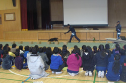 栃木県日光市立大室小学校での麻薬探知犬デモンストレーション(2018年2月)